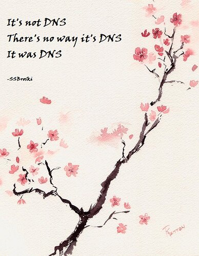 dns